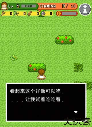 无人岛大冒险2中文版