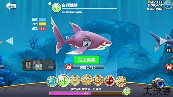 饥饿鲨世界图片