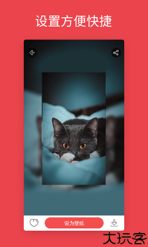 安卓动态壁纸手机版