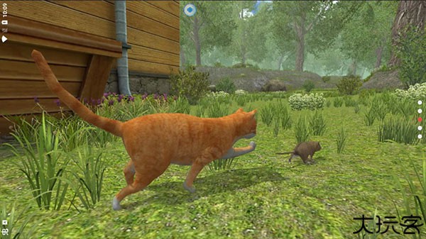 老鼠模拟器中文手机版