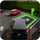 王牌停车场中文版