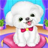 宠物狗狗养成日记手机版