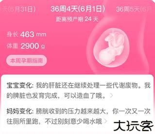 美柚月经记录