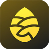 松果出行电单车