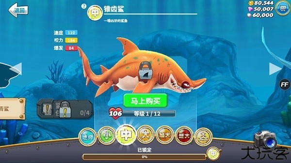 饥饿鲨世界图片