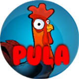 红鸡斗鸡模拟器手机版