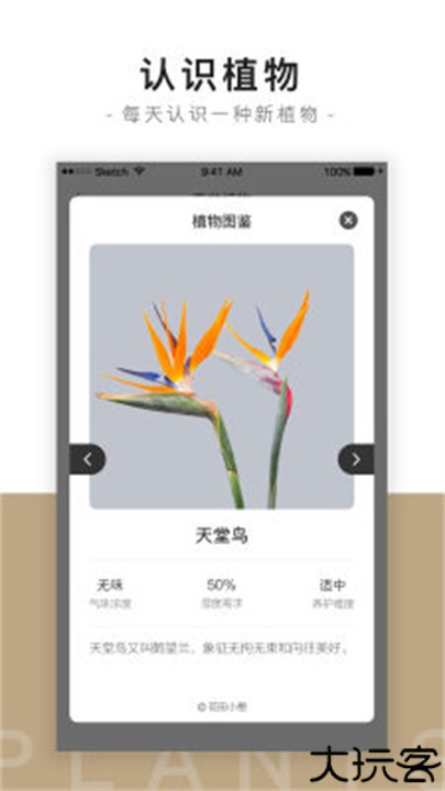 花田小憩app手机版