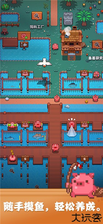 开拓猪之岛手机版