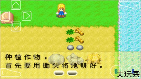 牧场物语女孩版 第3张图