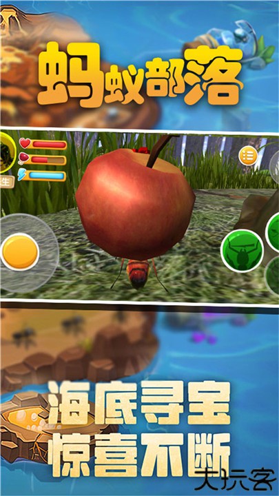 蚂蚁部落安卓版