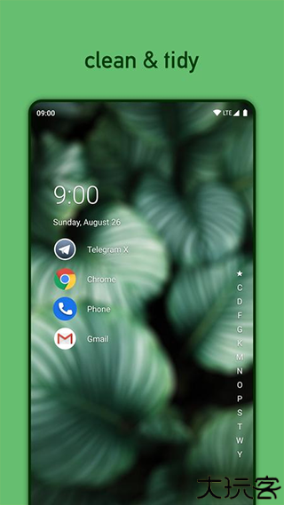 Niagara Launcher安卓版