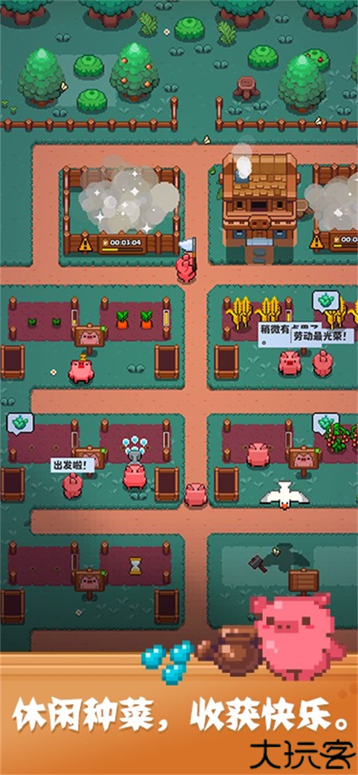 开拓猪之岛动物园