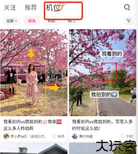 可颂安卓版