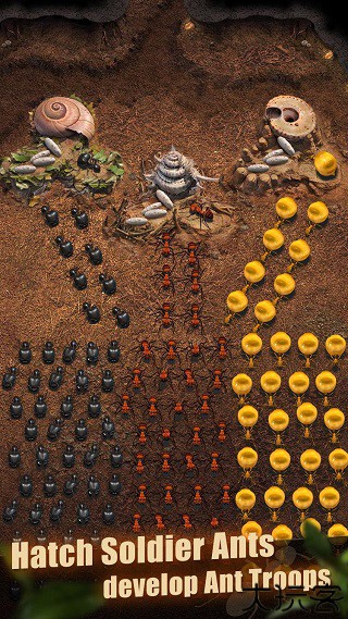 蚂蚁地下王国中文