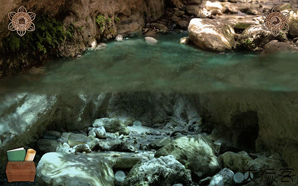 潘莫菲亚觉醒中文版