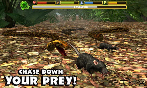 snakesimulator安卓