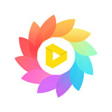 intoLive动态壁纸