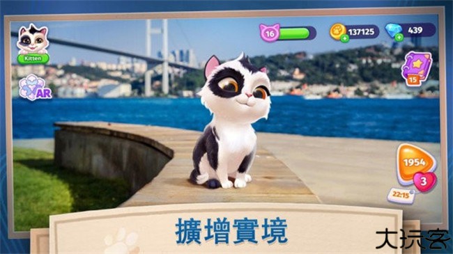 我的可爱猫咪手机版