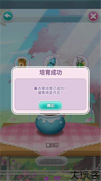 鲜花小镇安卓版