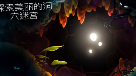 shine光之旅安卓版