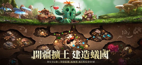 小小蚁国安卓版