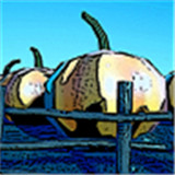 花园守护者手机版