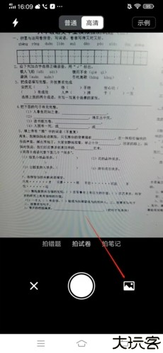 蜜蜂试卷12