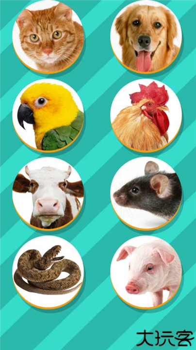 宠物对话翻译器手机版