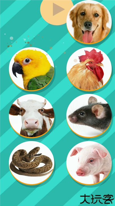 宠物对话翻译器手机版