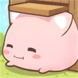 麻糬猫收藏疗愈的每一天