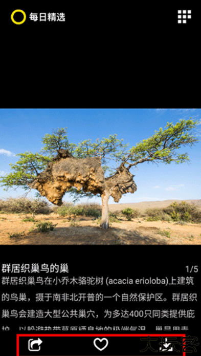 每日精选软件