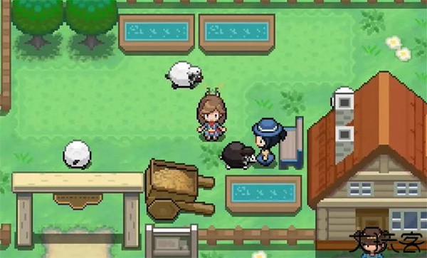 宝可梦蛋白石觉醒之石