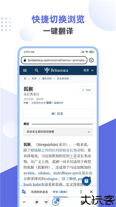 狐猴浏览器安卓版