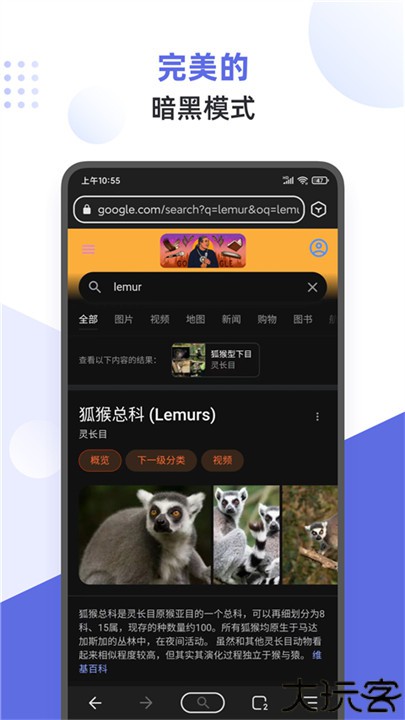 狐猴浏览器安卓版
