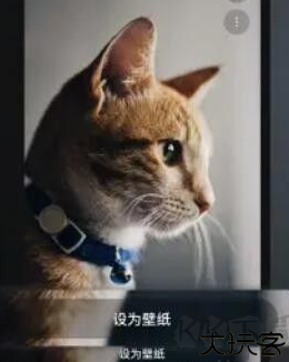 余香壁纸资源