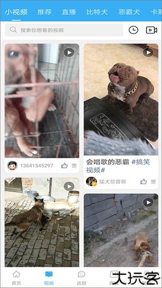 猛犬俱乐部论坛