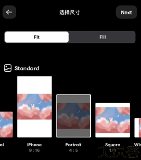 Instasize安卓软件