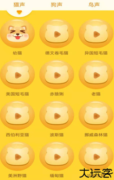 动物翻译器手机版
