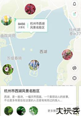 形色植物识别