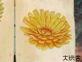 发芽啦游戏