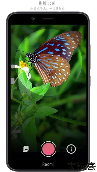 SketchMaster手机版