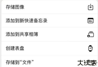 instasize中文版