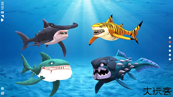 我的鲨鱼秀手游