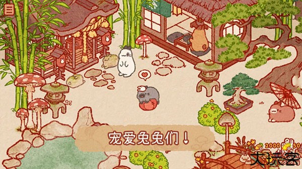 兔兔岛安卓中文版