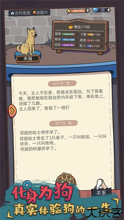 狗生模拟器中文版