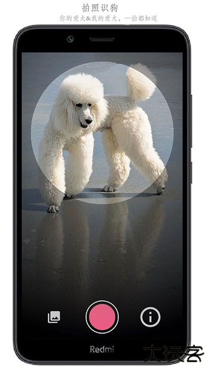 万物识别扫一扫