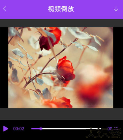 视频编辑工具宝手机版