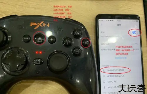小鸡模拟器软件