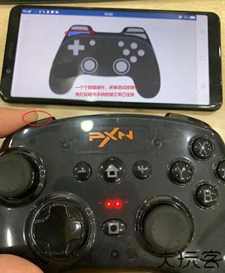 小鸡模拟器软件