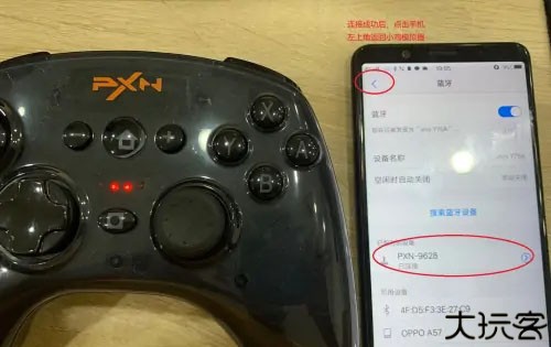 小鸡模拟器软件